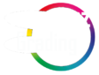 Schwarz Grading